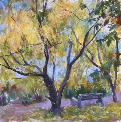 ������� ����������. ������� ��������