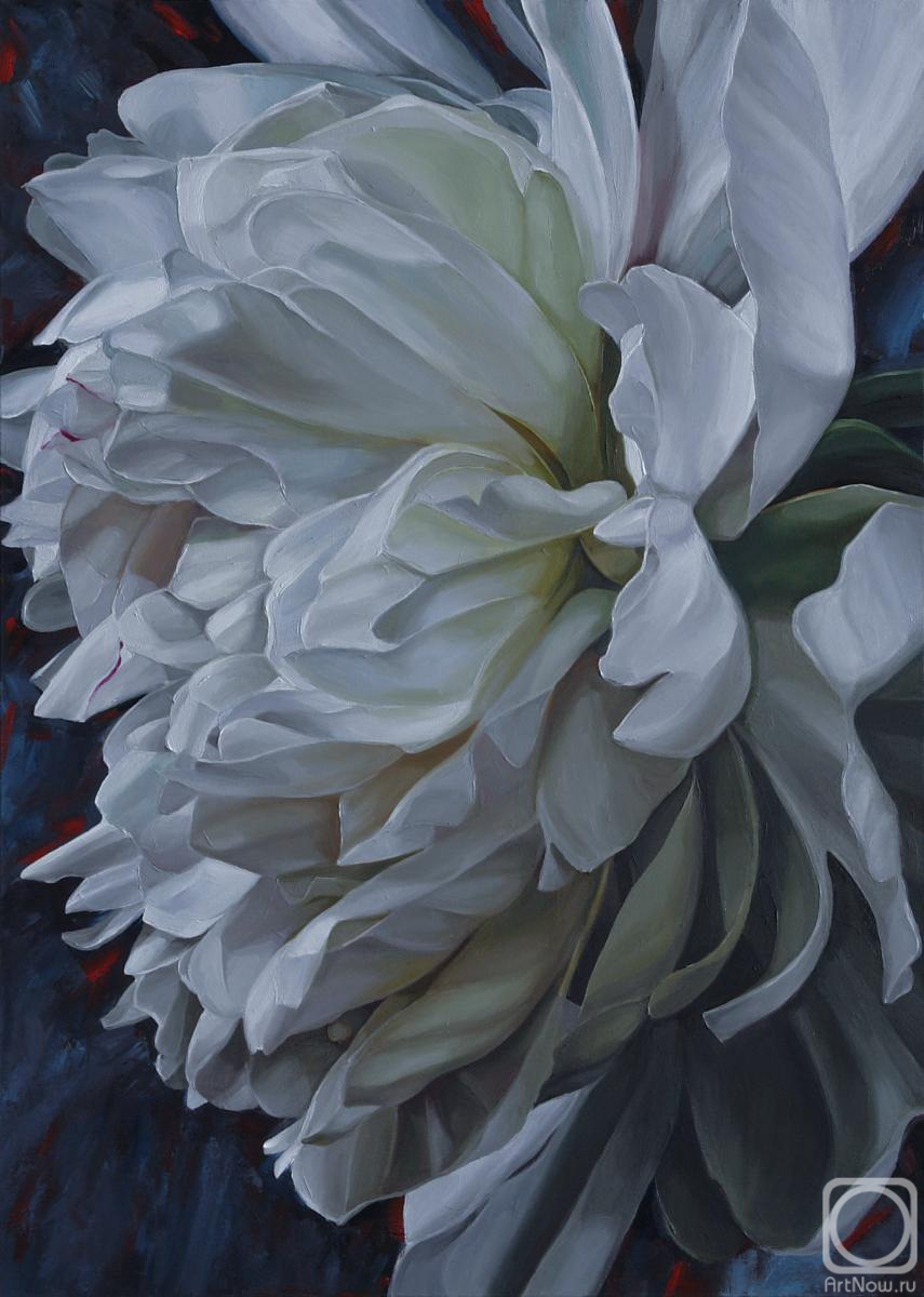 ������� ������ �� ������. ���������� ���������. ����