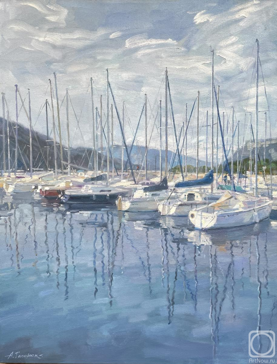 Gaponyuk Anna. Harbor