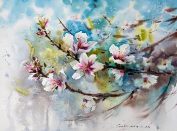 Almond flowers #6 ( ). Gorbacheva Evgeniya