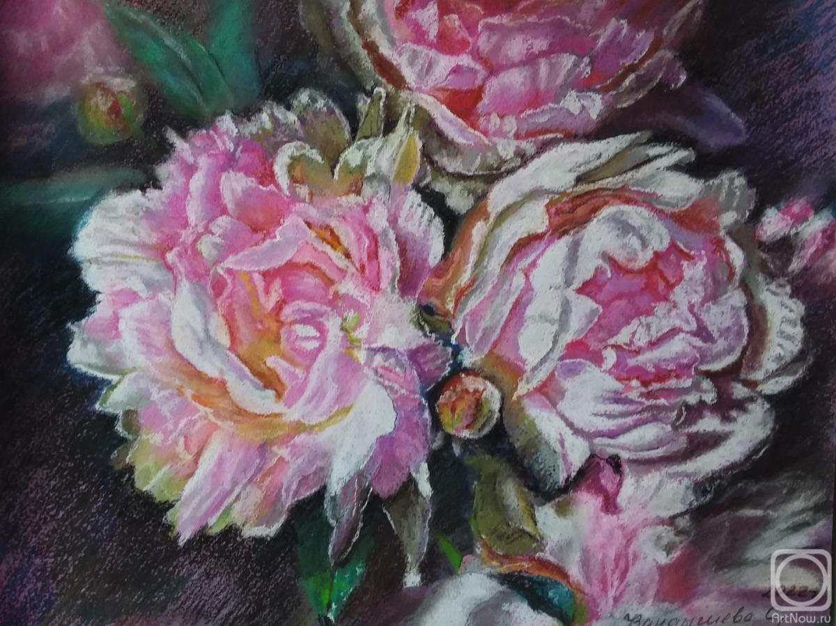 �������. ��������� ��������. �����