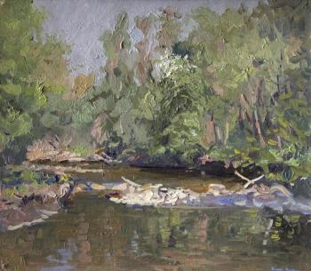 Spring. Kamenka River. Kozhin Simon