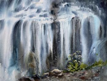 Waterfall #3 (Wildlife). Gorbacheva Evgeniya