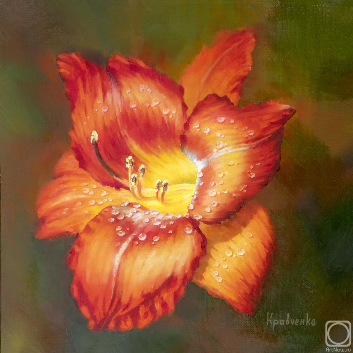 ������� ������ �� ������. ��������� ����. �������� ��������