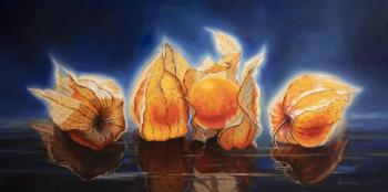 Sunshine Physalis. Kravchenko Yuliya