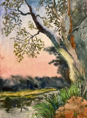 A tree above the river. Tsyganova Alyona