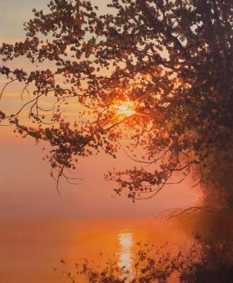 ������� �����������