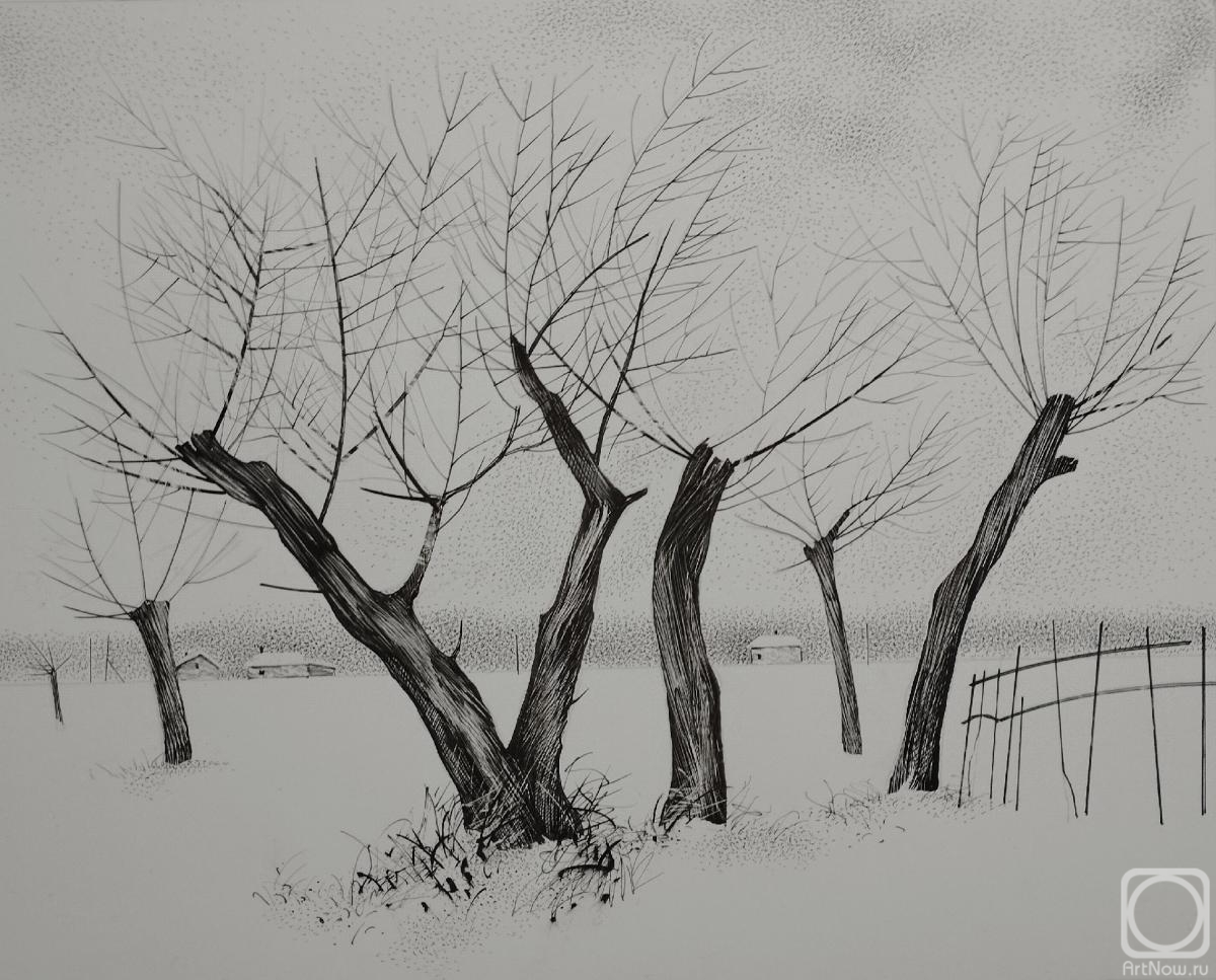 �������. �������� ����. ����