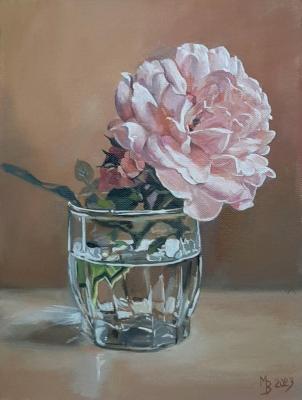 ������� ����� � �������