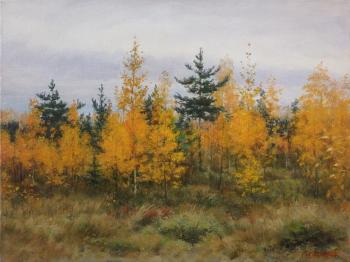 Autumn edge. Lemehov Igor