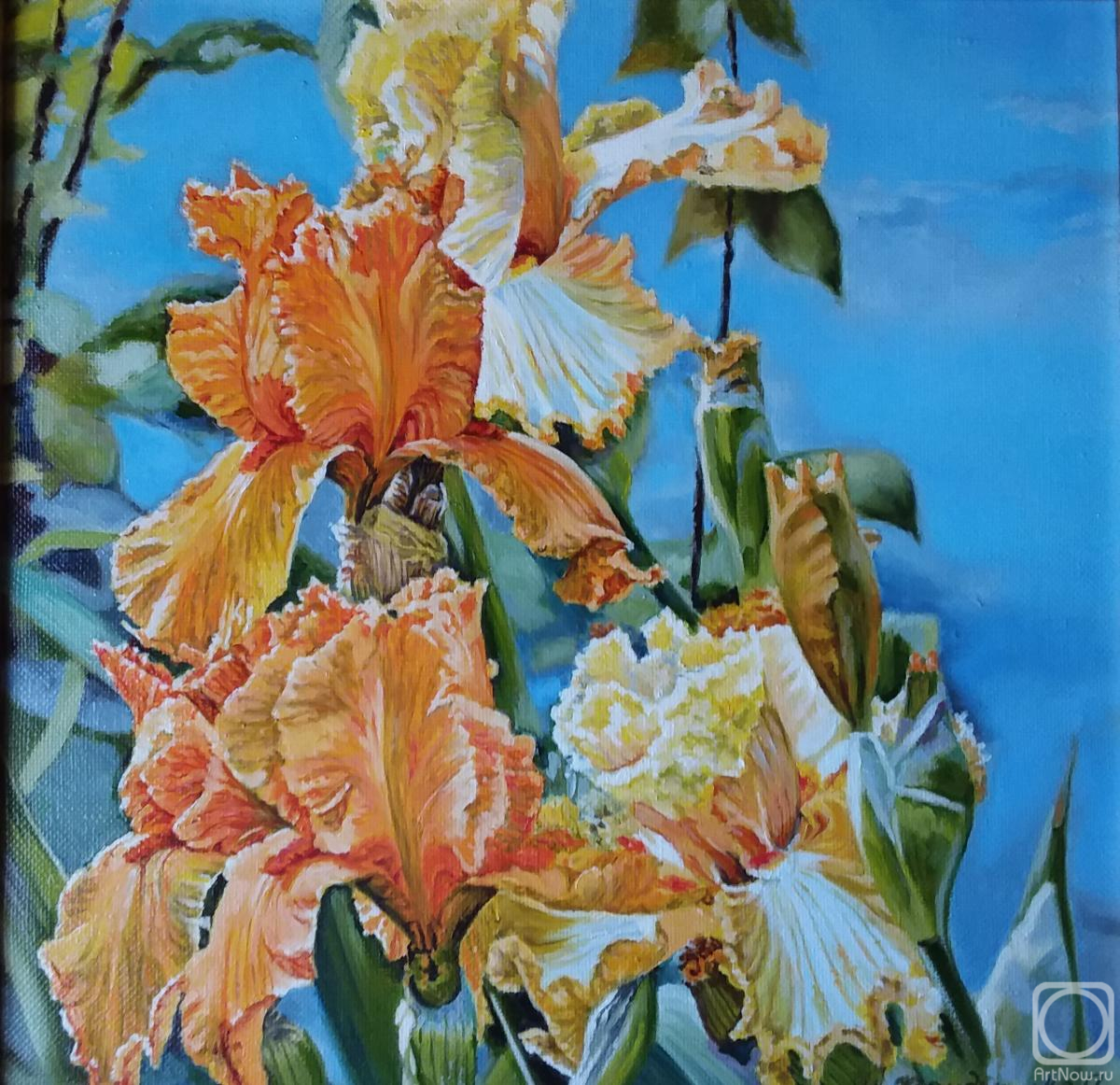 ������� ������ �� ������. ��������� ��������. ��������� �����