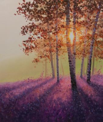 ������� ��� ������