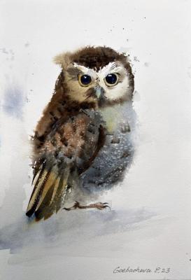 Little owl. Gorbacheva Evgeniya