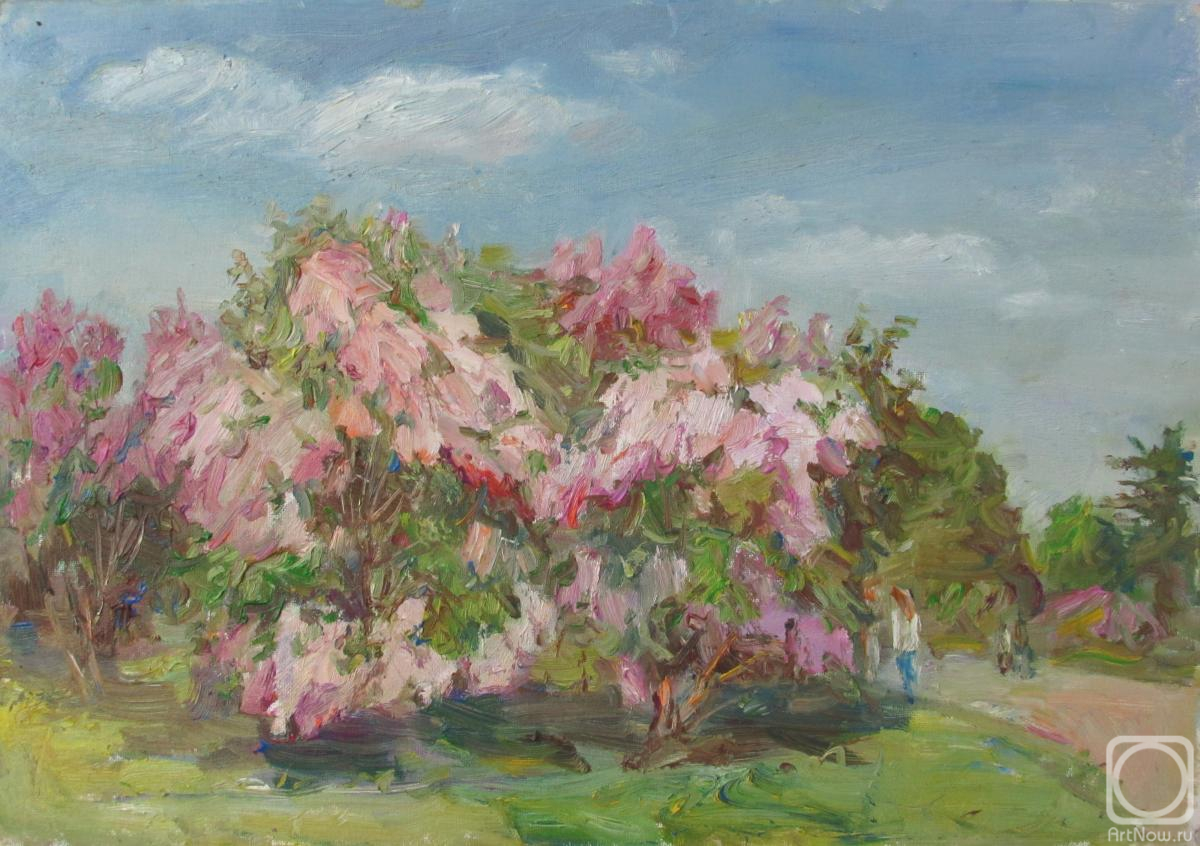 ������� ������ �� ������. �������� ������. ��������� ��� ����