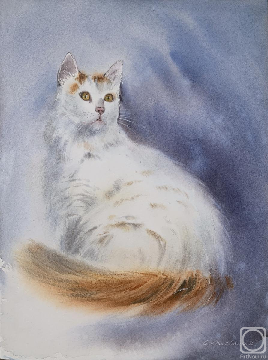 Gorbacheva Evgeniya. White cat