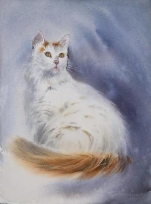 White cat (Fluffy White Cat). Gorbacheva Evgeniya