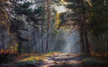 ������� ������� ������