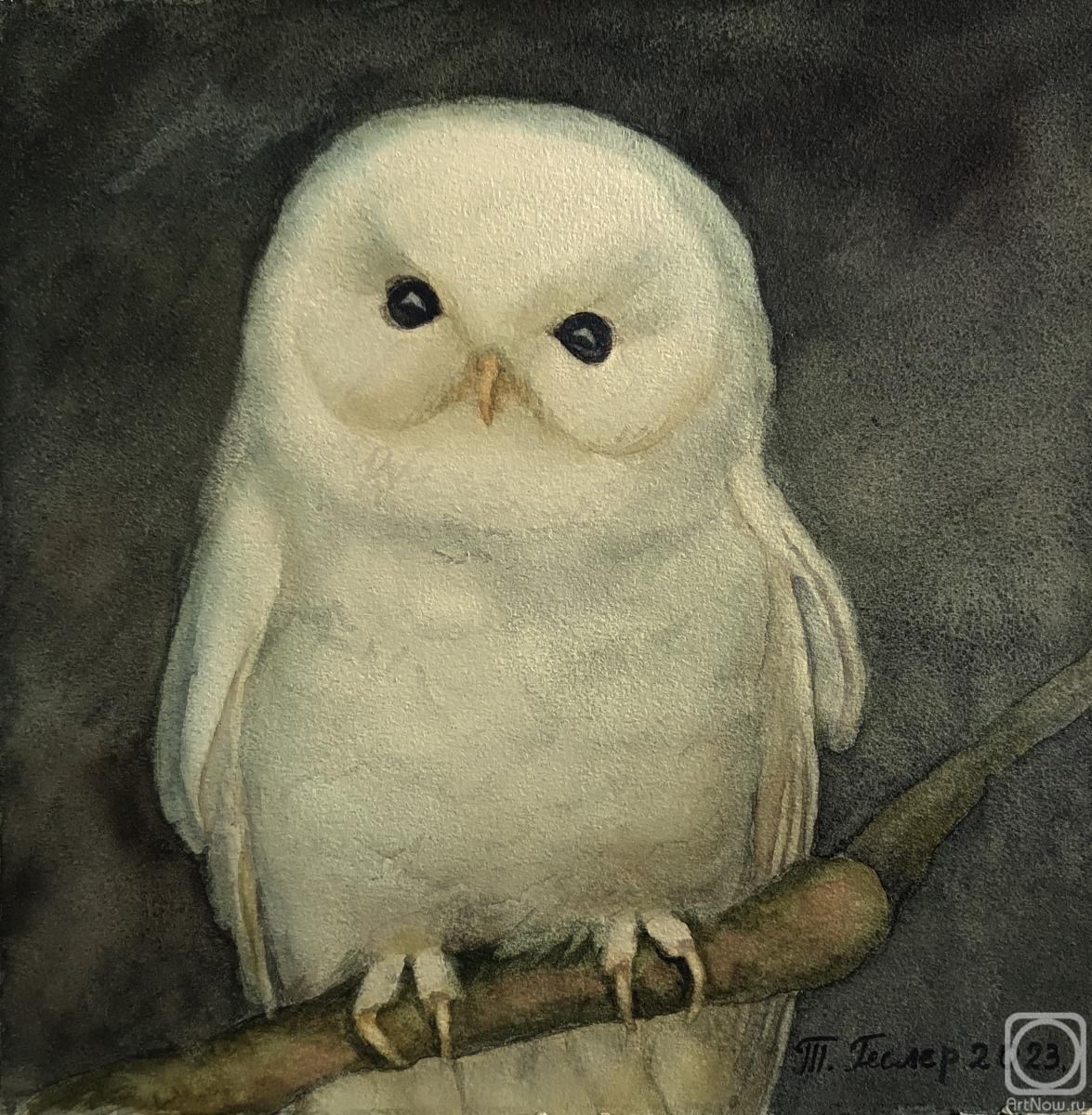 Gesler Tatyana. The Polar Owl