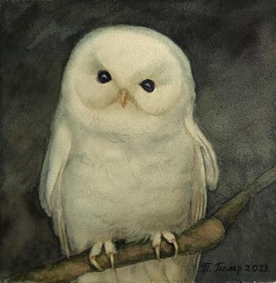 The Polar Owl. Gesler Tatyana