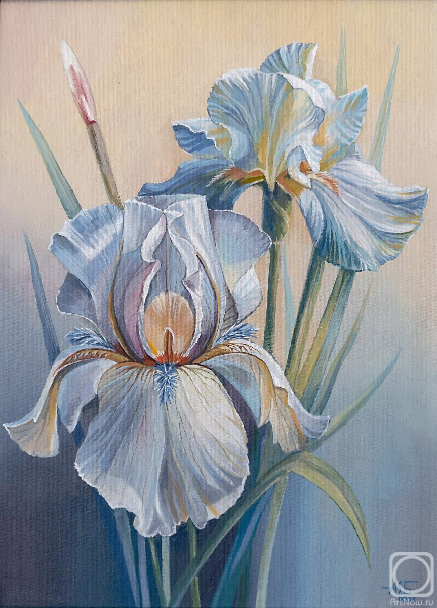 Shatalov Andrey. Irises