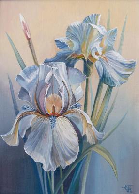 Irises. Shatalov Andrey