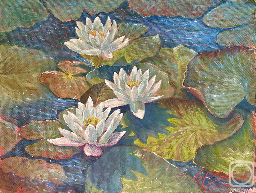 Latipov Amir. Water lilies