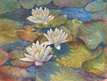 Water lilies. Latipov Amir