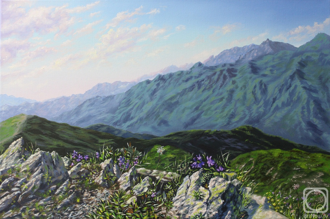 ������� ������ �� ������. ������� �������. ���������� ����