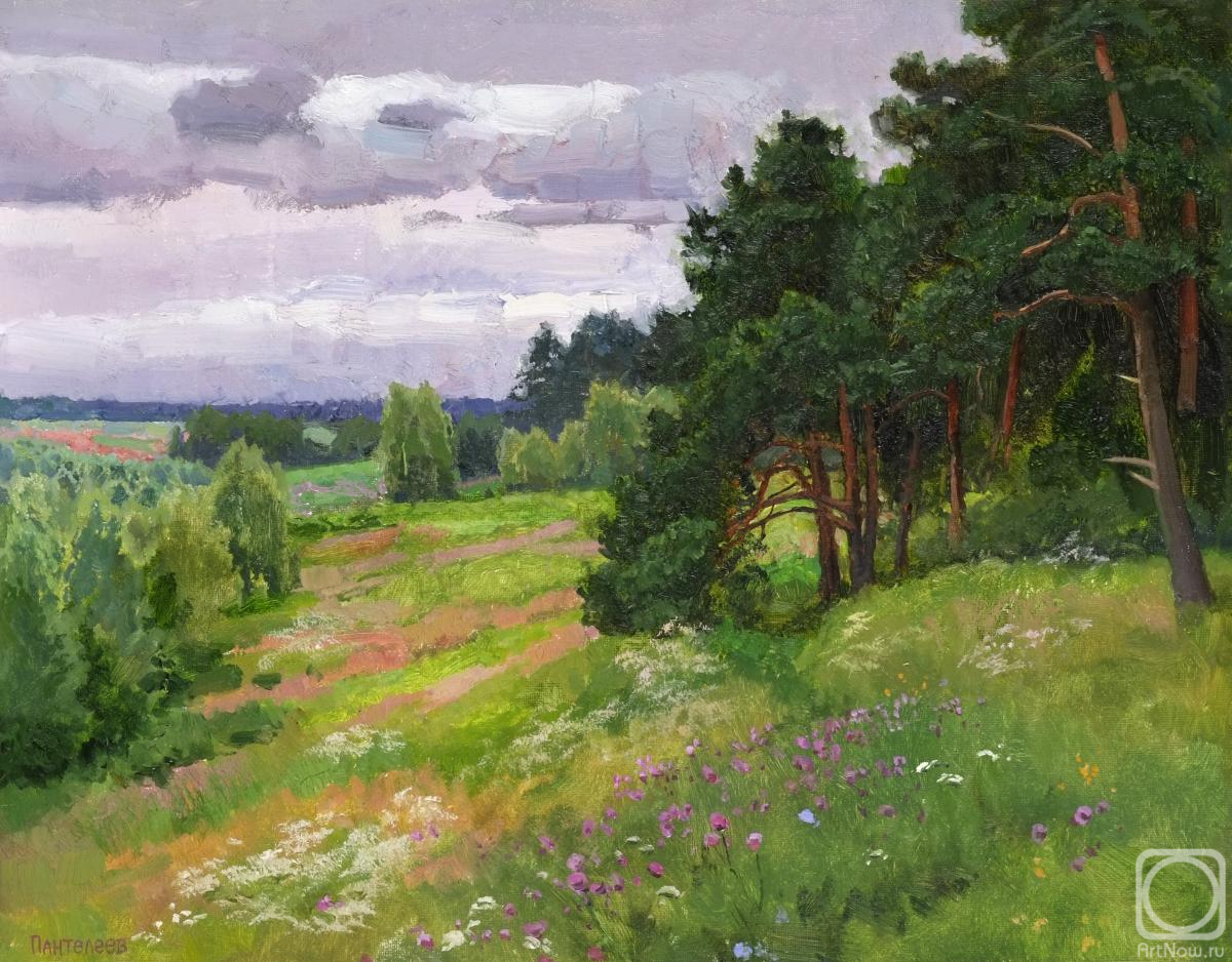 Panteleev Sergey. Summer herbs