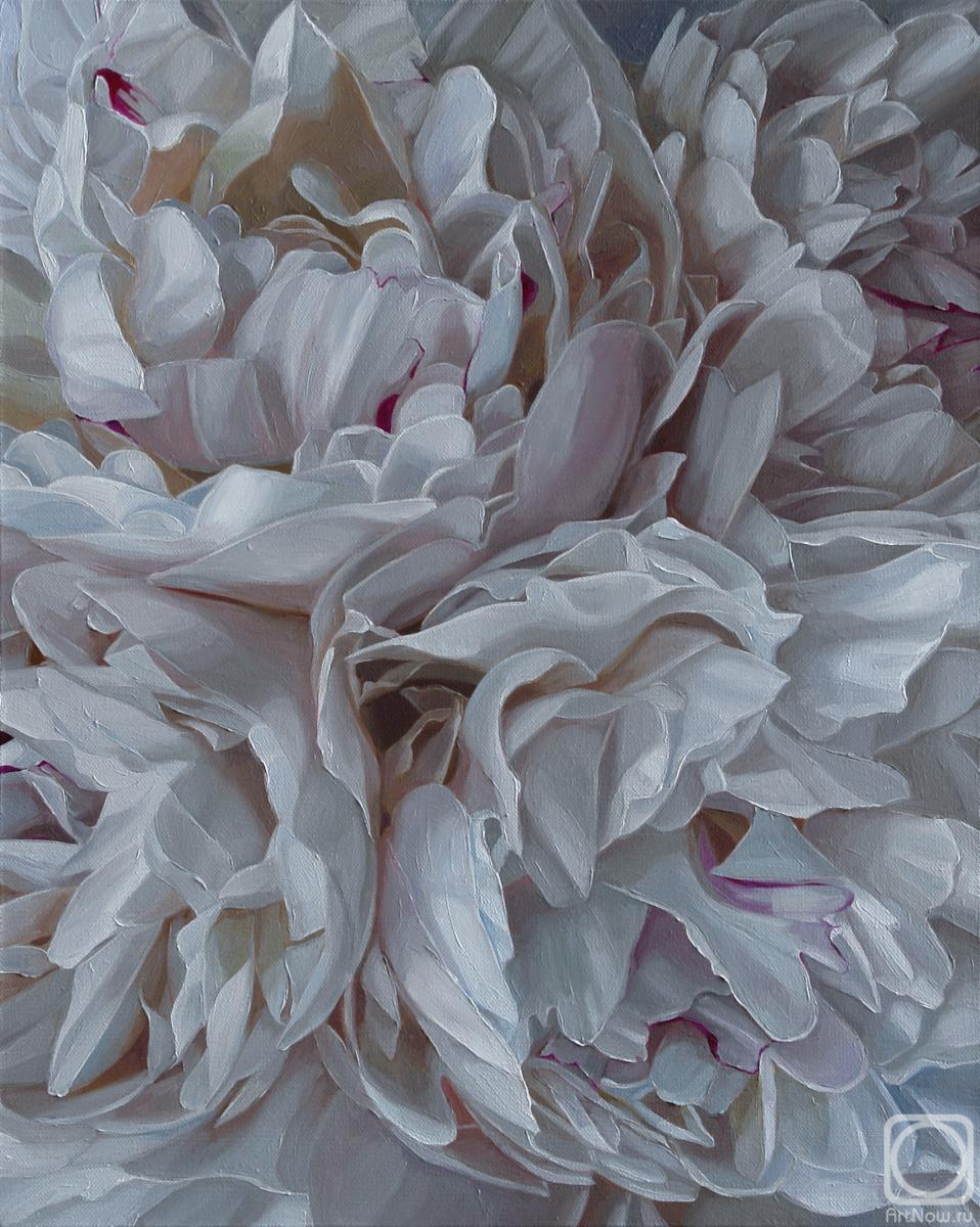 ������� ������ �� ������. ���������� ���������. ����� ����� ������