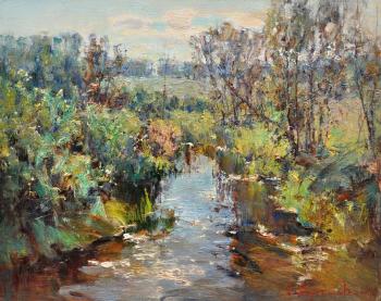 Korotkov Valentin Stepanovich. Overgrown river