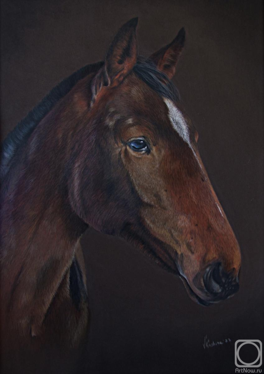 �������. ������ �����. ������