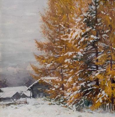 The beginning of winter. Korkodym Vladimir