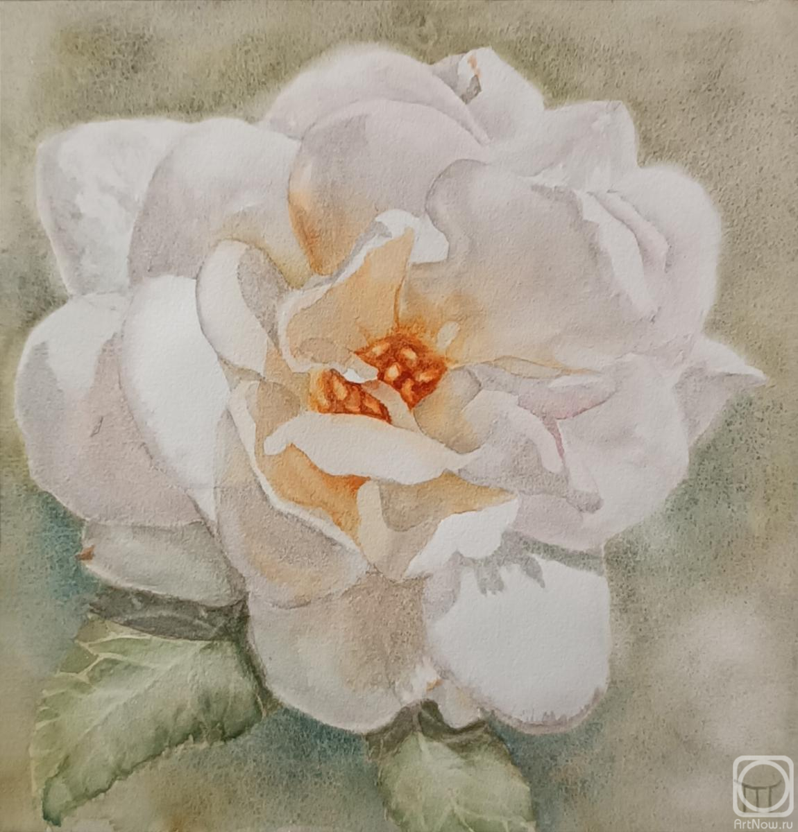 Gesler Tatyana. White Rose