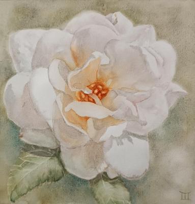 White Rose. Gesler Tatyana