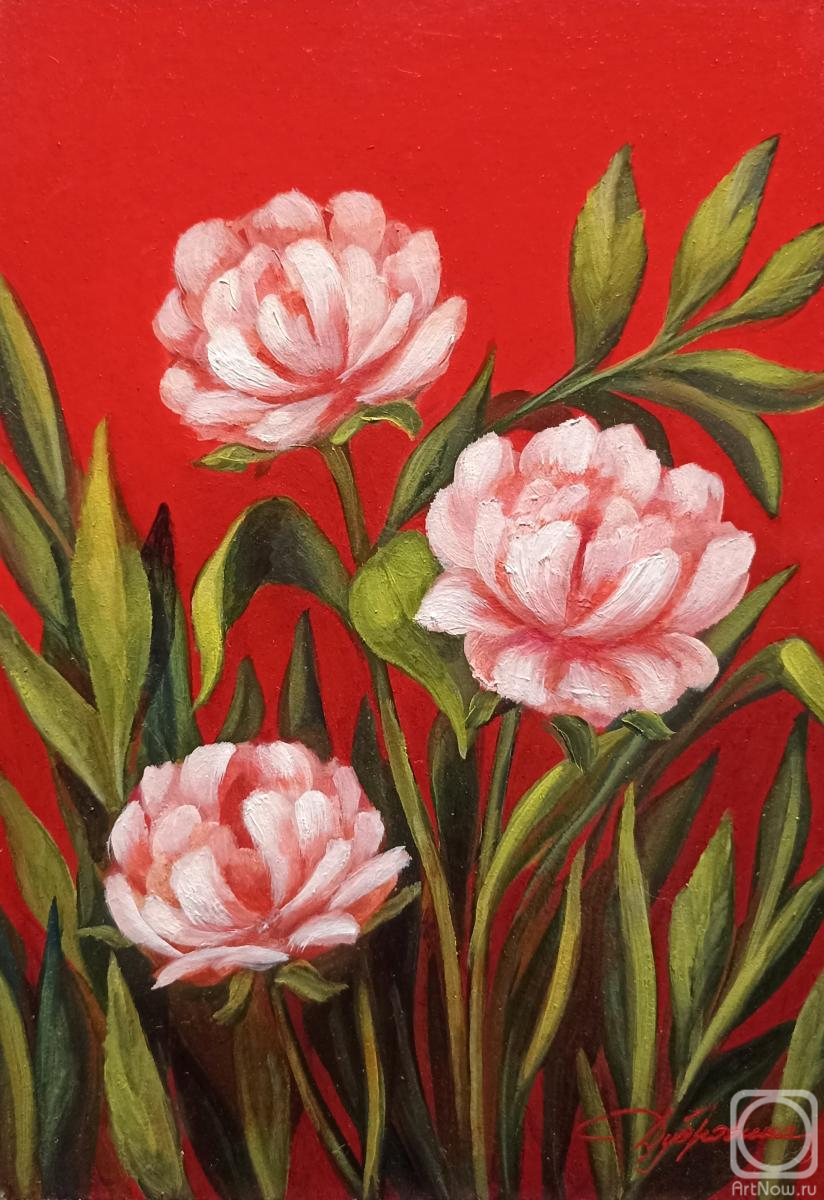 �������. ��������� ����. ����� �� �������