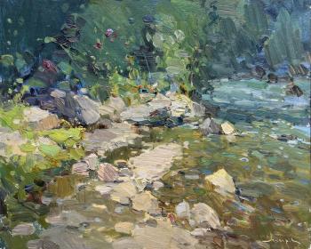 On the bank of a mountain river (A Summer Mountain Landscape). Makarov Vitaly