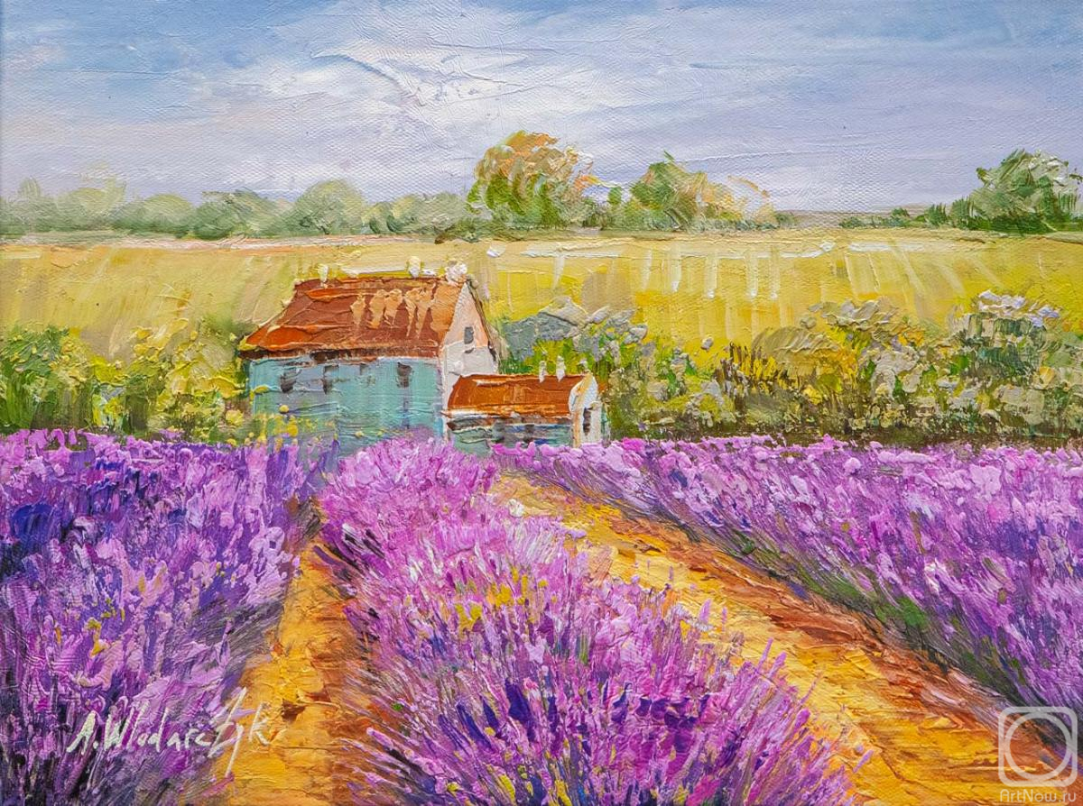 Vlodarchik Andjei. House in the lavender fields