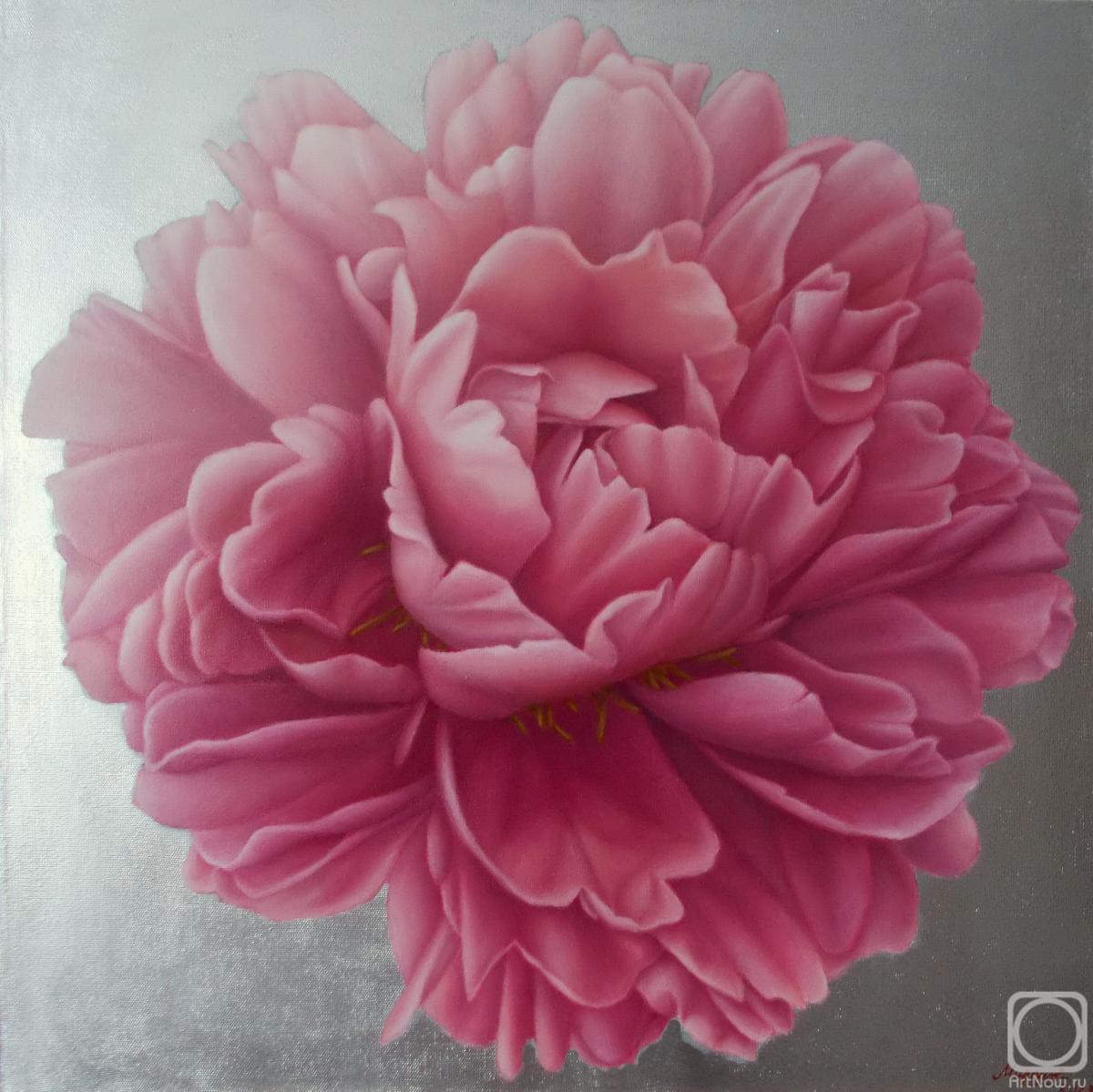 ������� ������ �� ������. �������� �������. ������ ������