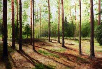 Pine forest. Smirnov Yuriy