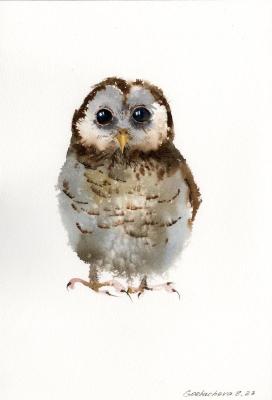 Little owl #2. Gorbacheva Evgeniya