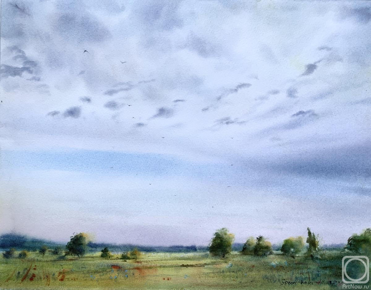 Gorbacheva Evgeniya. Field and sky #3