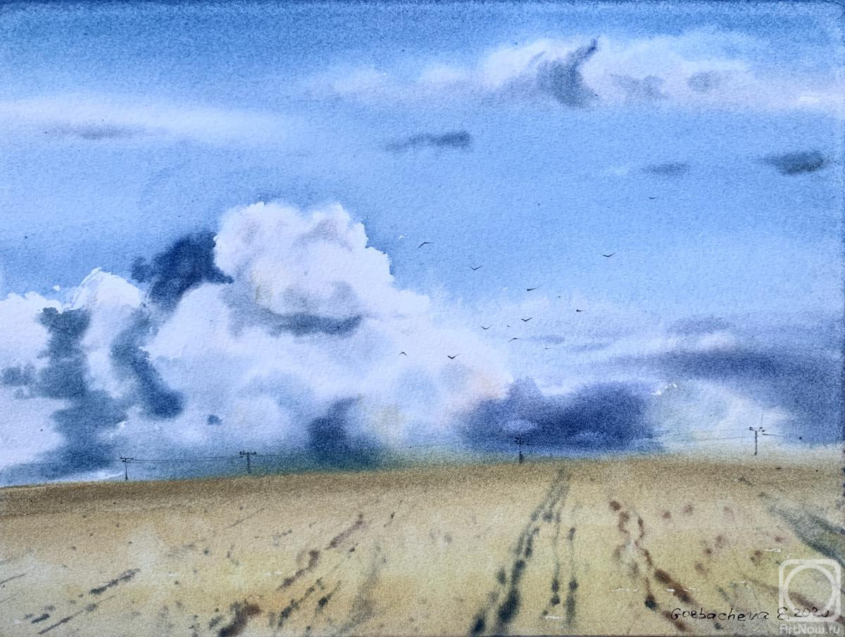 Gorbacheva Evgeniya. Field and clouds