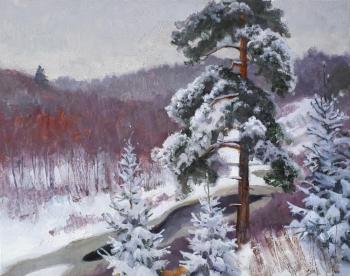 Winter has come (). Panteleev Sergey