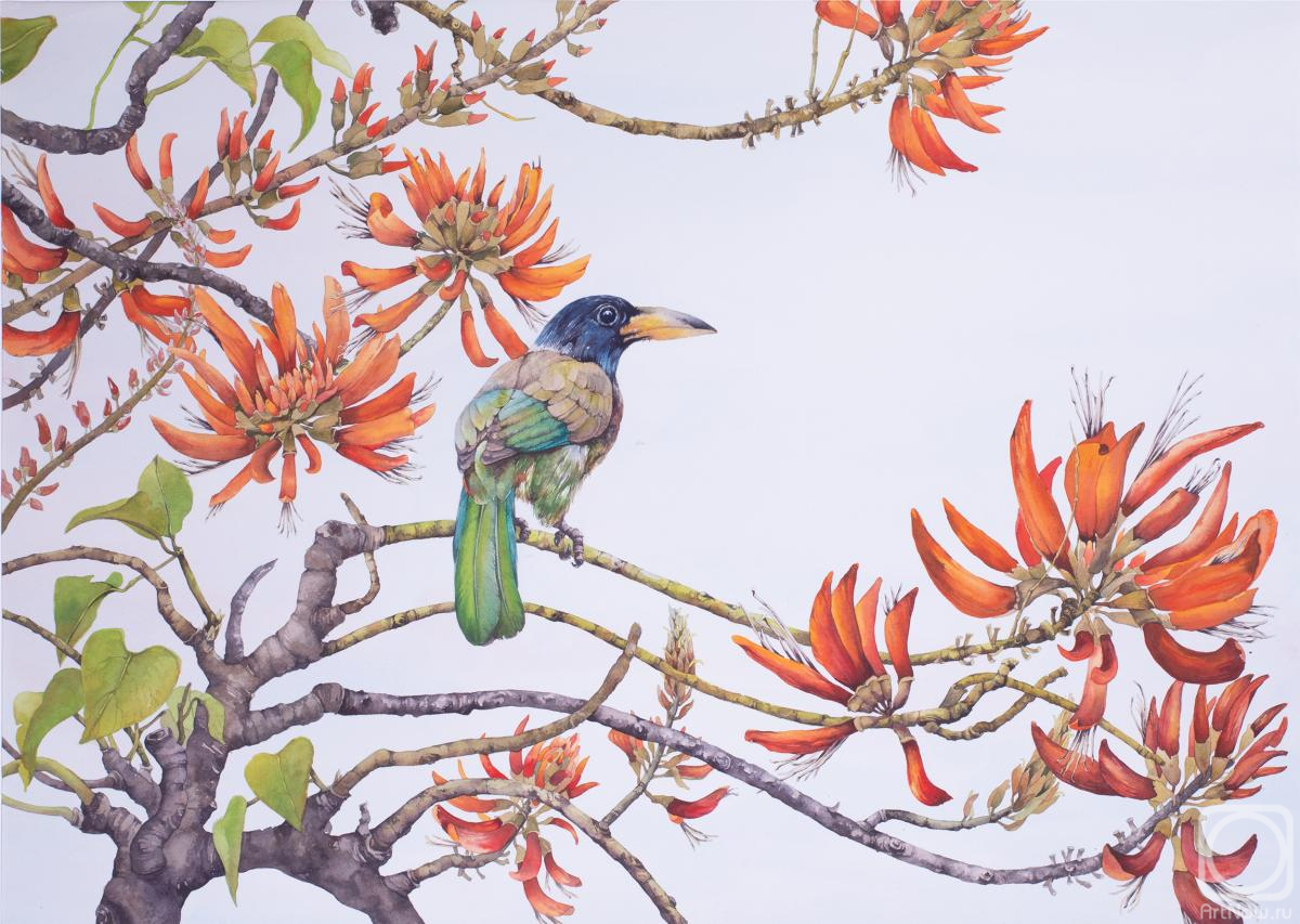 �������. ��������� �������. �����