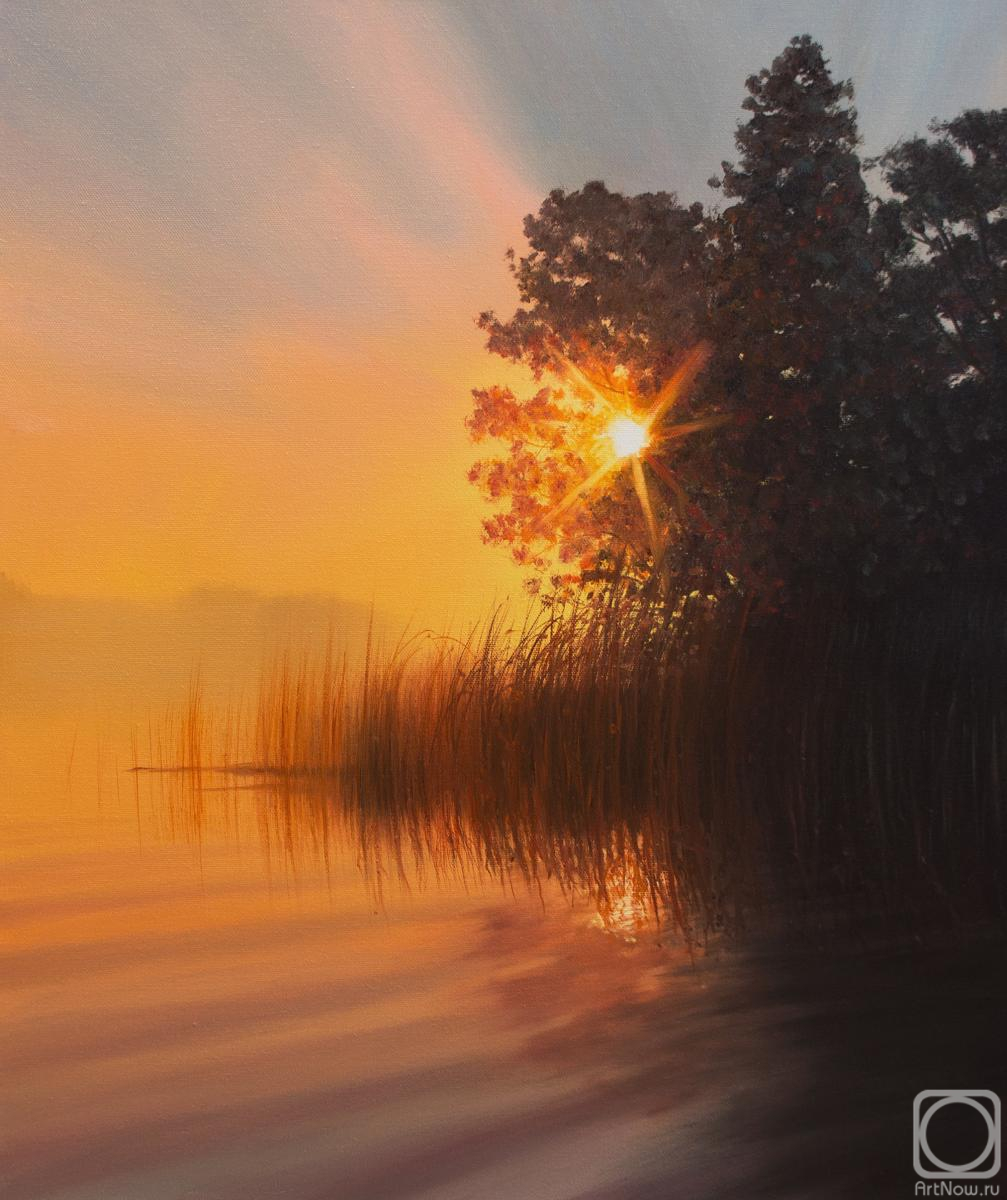 ������� ������ �� ������. ��� ��������. ����������