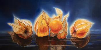 Sunny Physalis (Orange Berries). Kravchenko Yuliya