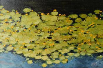 Water lilies. Mishkeev Sergey