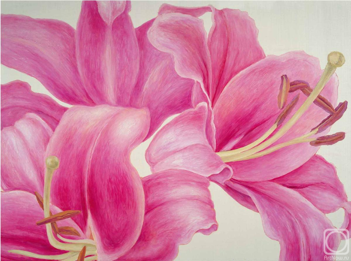 �������� ��������. ����� �� �����