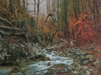 Mountain stream. Leschenko Valentin